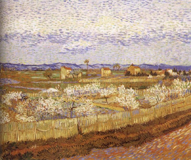Vincent Van Gogh Blooming peach Germany oil painting art